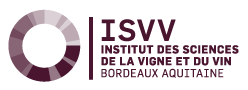 logo bordeaux isvv